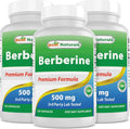 Best Naturals Berberina 500 mg - 120 Cápsulas (Pack de 3)