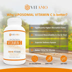 Vitamina C Liposomal 2000 mg - 300 Cápsulas - Alta Absorción - Sin Soja - No-GMO