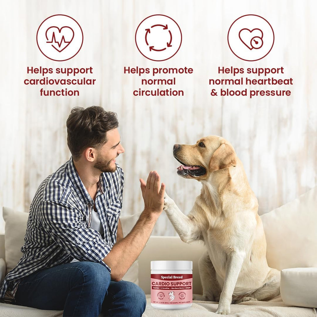 Special Breed Cardio Support – Suplemento cardíaco para perros con taurina, L-carnitina, CoQ10 y espino blanco orgánico – 120 dosis