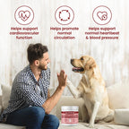 Special Breed Cardio Support – Suplemento cardíaco para perros con taurina, L-carnitina, CoQ10 y espino blanco orgánico – 120 dosis