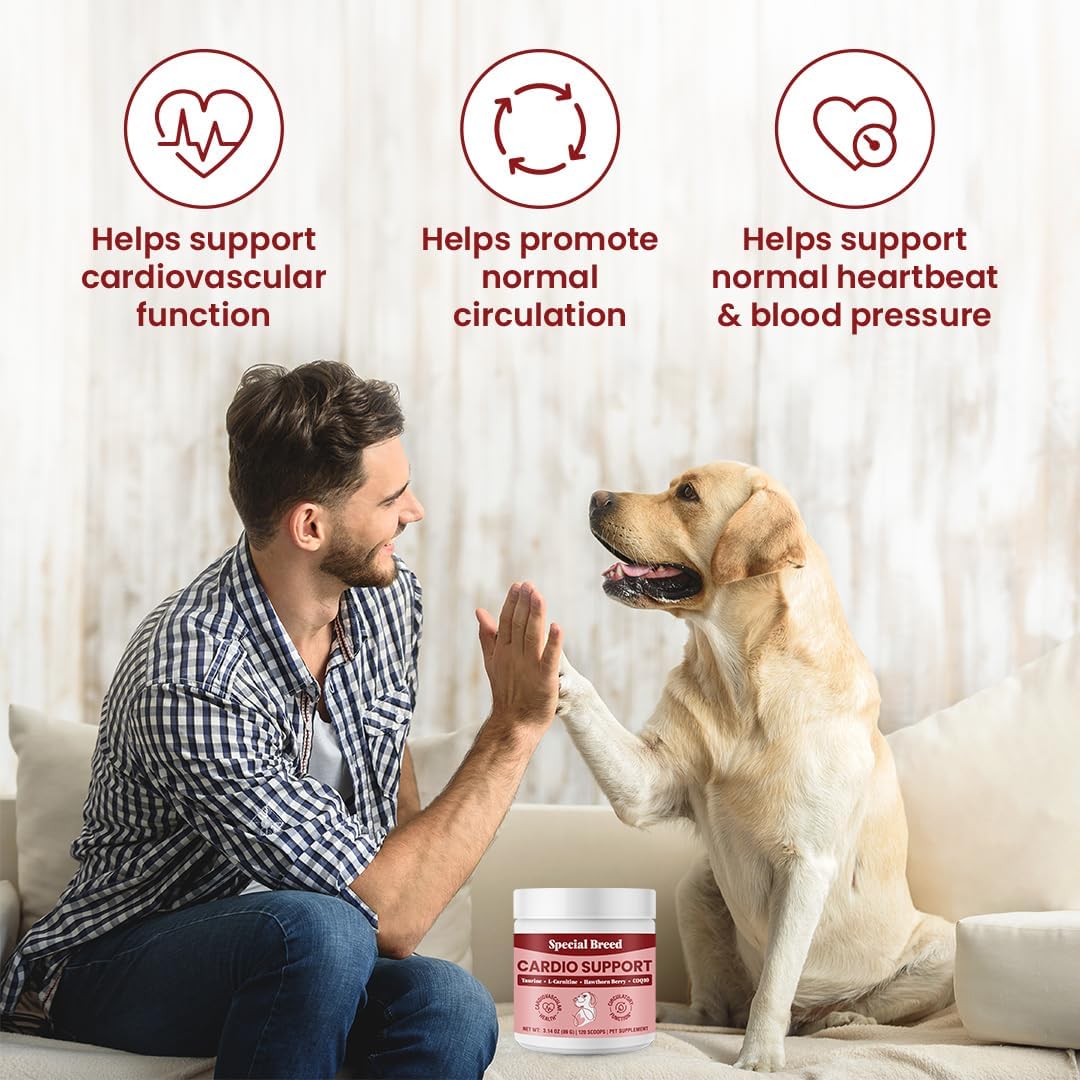 Special Breed Cardio Support – Suplemento cardíaco para perros con taurina, L-carnitina, CoQ10 y espino blanco orgánico – 120 dosis