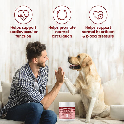 Special Breed Cardio Support – Suplemento – Coenzima Q10 (CoQ10): un antioxidante que apoya la producción de – Image 3