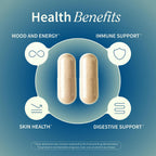 Snap Supplements Irish Sea Moss con Bladderwrack, Burdock Root y Yodo – 60 Cápsulas Veganas