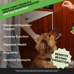 Probióticos de Máxima Potencia para Perros con Enzimas Digestivas - Apoyo Avanzado para la Salud Intestinal (Pollo, 90 uds)