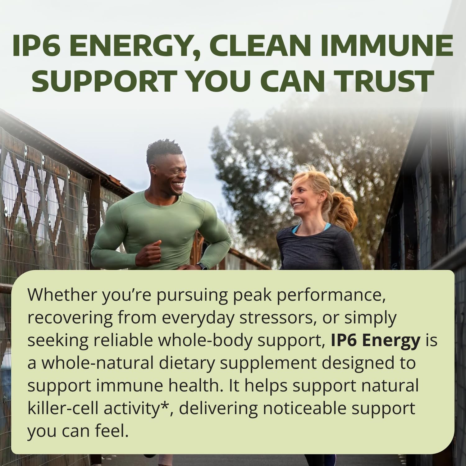 1-TDC WorkSoWell IP-6 Energy Immune Support Formula – 240 Cápsulas Vegetales