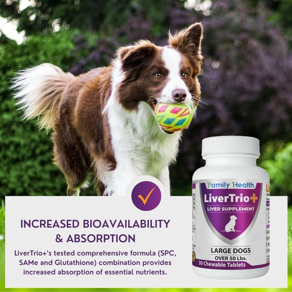 Comprehensive Liver Supplement (2 Pack - 60ct), Combining SAMe, SPC, Silybin A+B, Glutathione, Chew Tabs for Dogs 30Ct (2X Small - Medium)