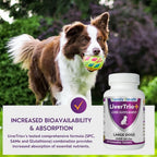 Comprehensive Liver Supplement (2 Pack - 60ct), Combining SAMe, SPC, Silybin A+B, Glutathione, Chew Tabs for Dogs 30Ct (2X Small - Medium)