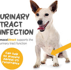 maxxiUtract Apoyo Urinario y Vesical para Perros - Suplemento Natural en Polvo con D-Manosa y Arándano - 150 g
