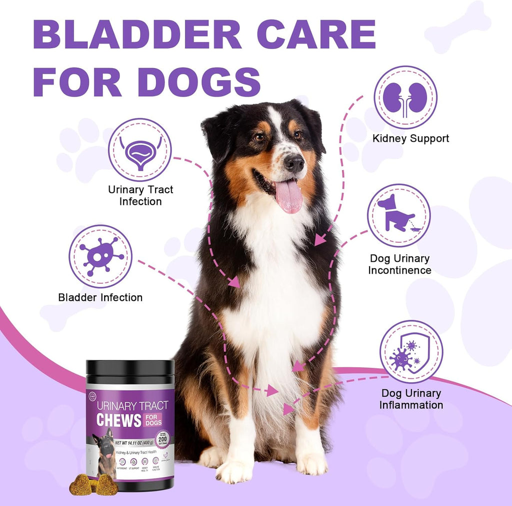 Suplemento de Arándano para Perros - 200 Chicles para la Salud Urinaria y Control de Vejiga - Sabor Pollo