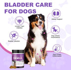 Suplemento de Arándano para Perros - 200 Chicles para la Salud Urinaria y Control de Vejiga - Sabor Pollo