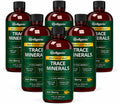 Wellgenix Sea Essentials Minerales Traza Líquidos, 6 Botellas de 946 ml (32 oz) cada una