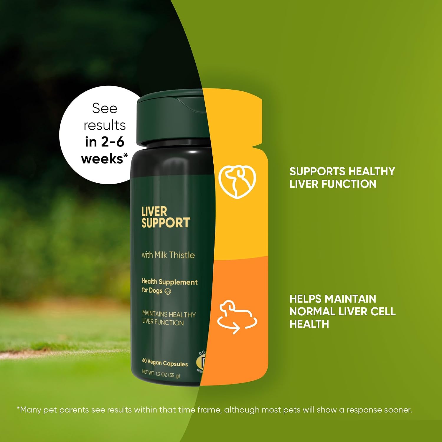 Rooted Owl® Suplemento Hepático para Perros - Cardo Mariano - 60 Cápsulas Veganas
