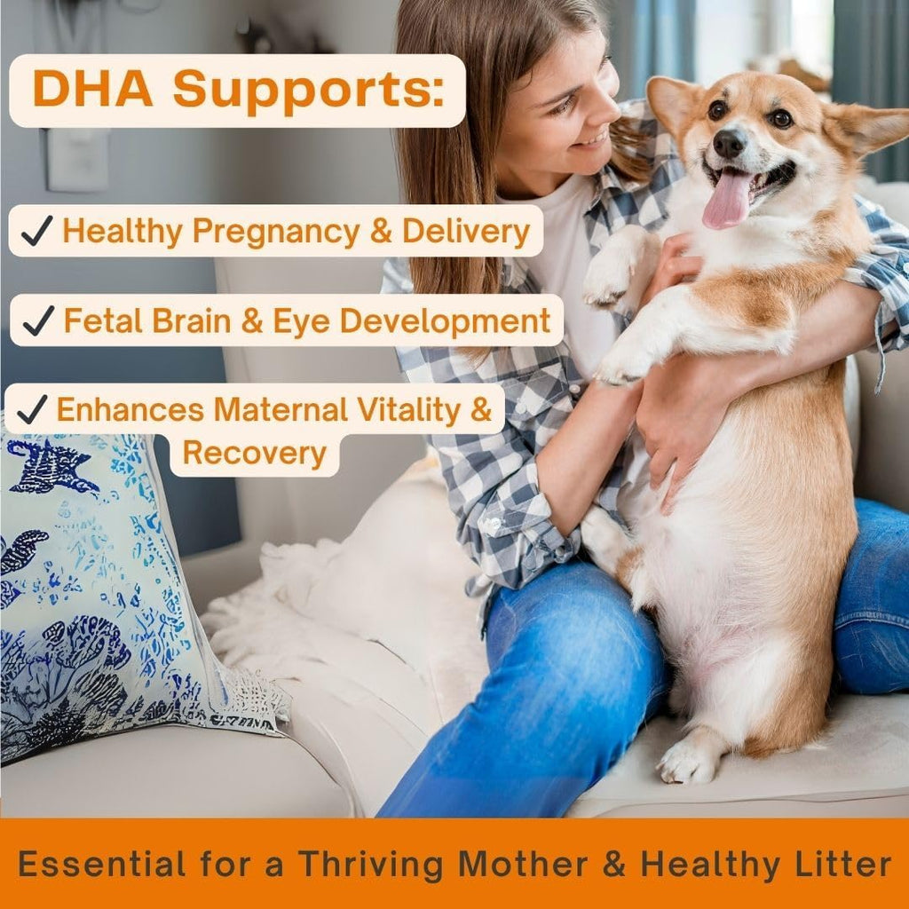 Omega 3 Fish Oil for Dogs & Cats | Joint Support | Brain & Heart Health | Pure EPA DHA | 100 Soft Gels