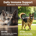 WuffWell Mighty Mushroom Suplemento para Perros - Cola de Pavo, Mejillón de Labios Verdes y Cúrcuma - 7 Setas
