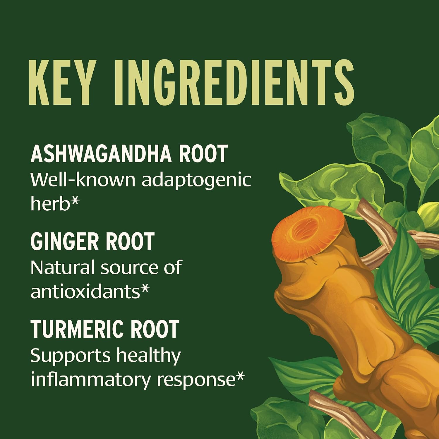 Banyan Botanicals I Travel Well Liquid Extract - Travel Immune Support - with Ashwagandha and Ginger - 30 ml (1 fl. oz.) - Organic, Vegan