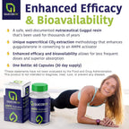 GlucodOX AMPK Activator – 60 Cápsulas – Suplemento Vegano con Guggul para el Metabolismo y la Longevidad