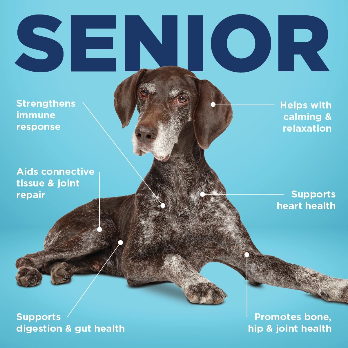 Vetericyn All-in-1 Suplemento Multifuncional para Perros Senior, 90 Masticables