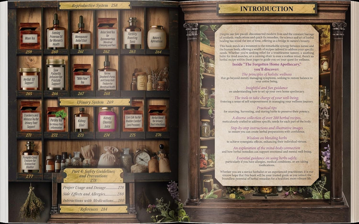 Forgotten Home Apothecary : 250 Powerful – Personas que prefieren opciones naturales para el autocuidado diario. – Image 8
