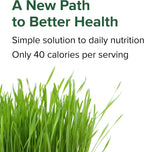 Vibrant Health Green Vibrance, Superalimento Vegano en Comprimidos, 240 Comprimidos