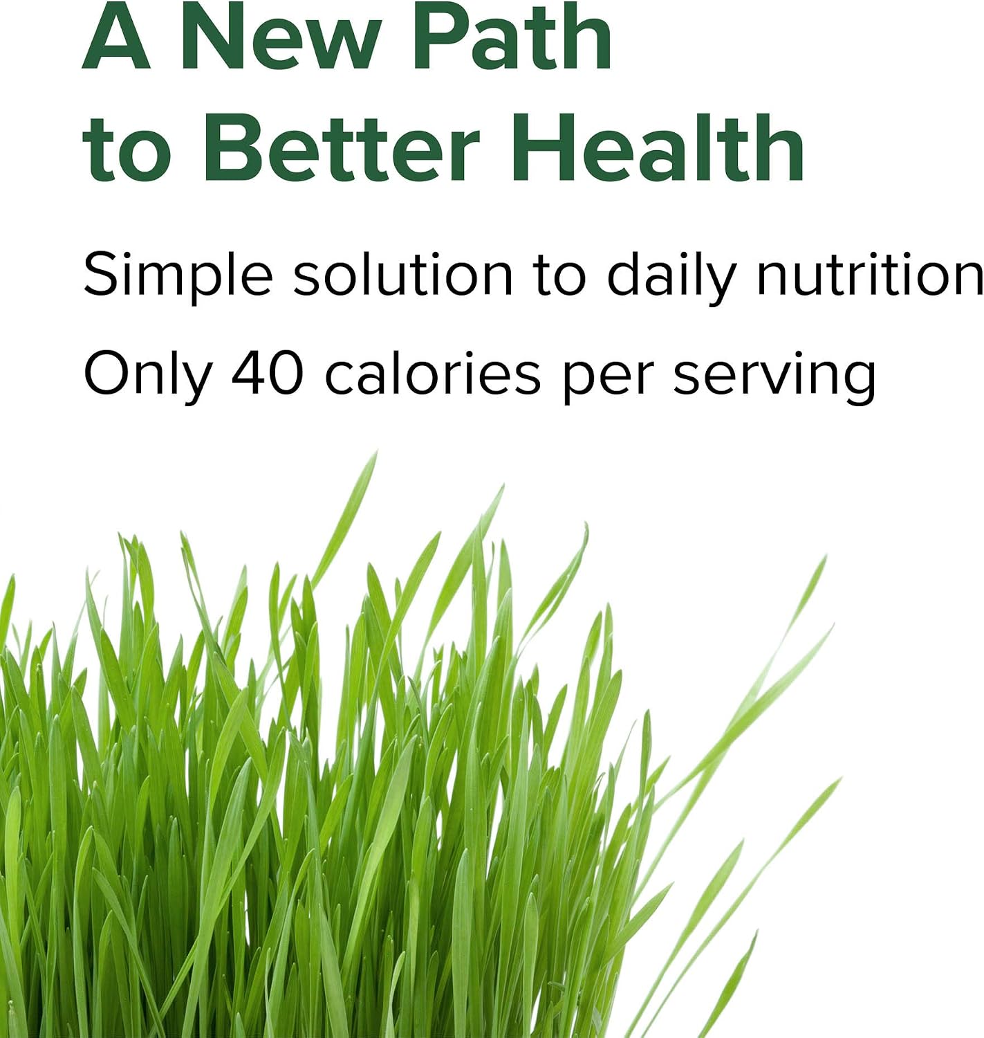 Vibrant Health Green Vibrance, Superalimento Vegano en Comprimidos, 240 Comprimidos