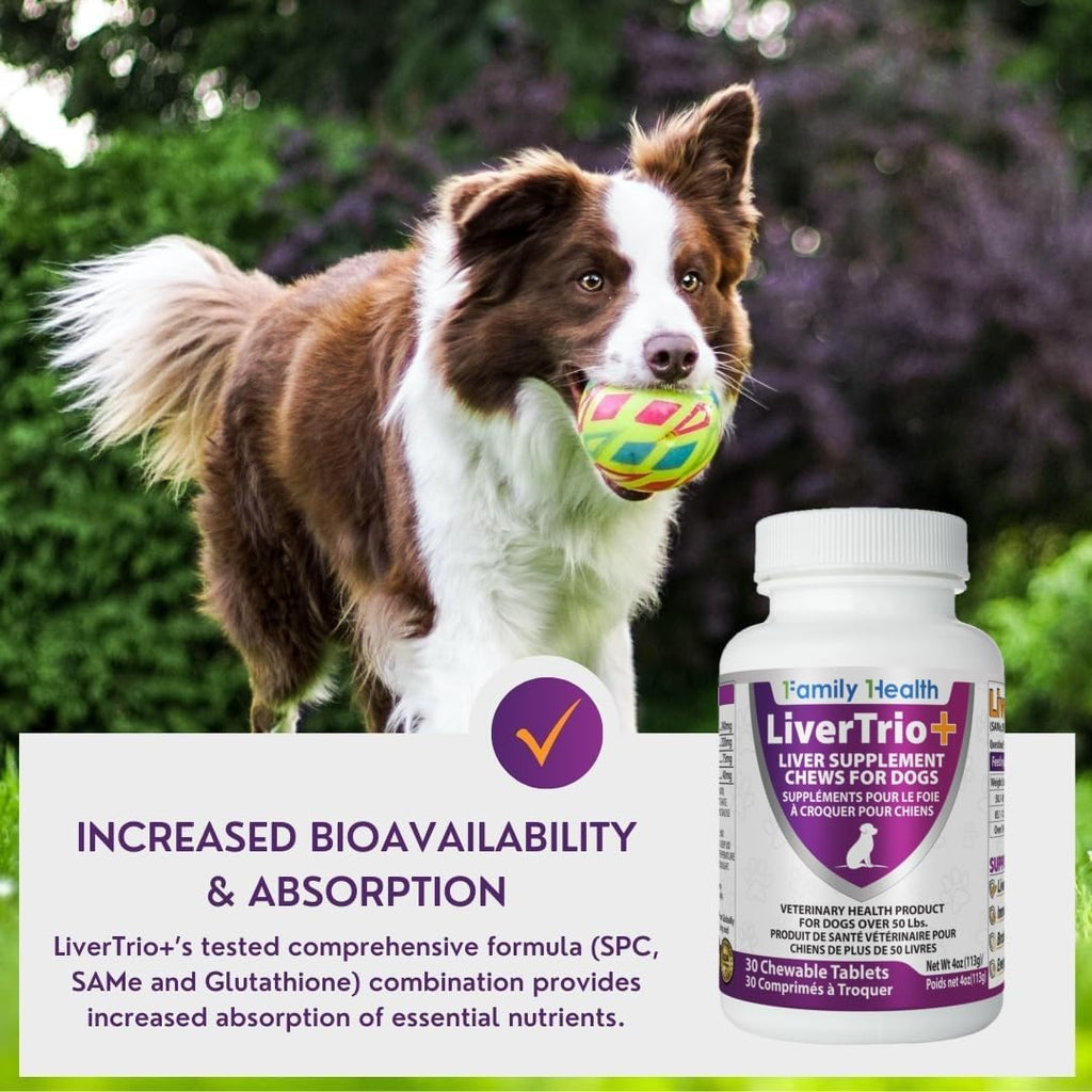 LiverTrio+ – Suplemento Hepático Completo para Perros Pequeños y Medianos (30 comprimidos masticables)