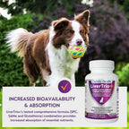 LiverTrio+ – Suplemento Hepático Completo para Perros Pequeños y Medianos (30 comprimidos masticables)