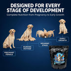 CPN Structure Suplemento para Cachorros y Perras Gestantes con DHA – Apoya el Desarrollo Cognitivo, Muscular y Óseo – Proteína de Huevo y Leche, Probióticos, Enzimas y Omega 3 (907 g)