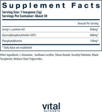 Vital Nutrients Vital Brain Powder - Brain Supplement with Phosphatidylserine, Acetyl L-Carnitine, and GPC - Gluten-Free, Dairy-Free, Soy-Free - Unflavored - 150g