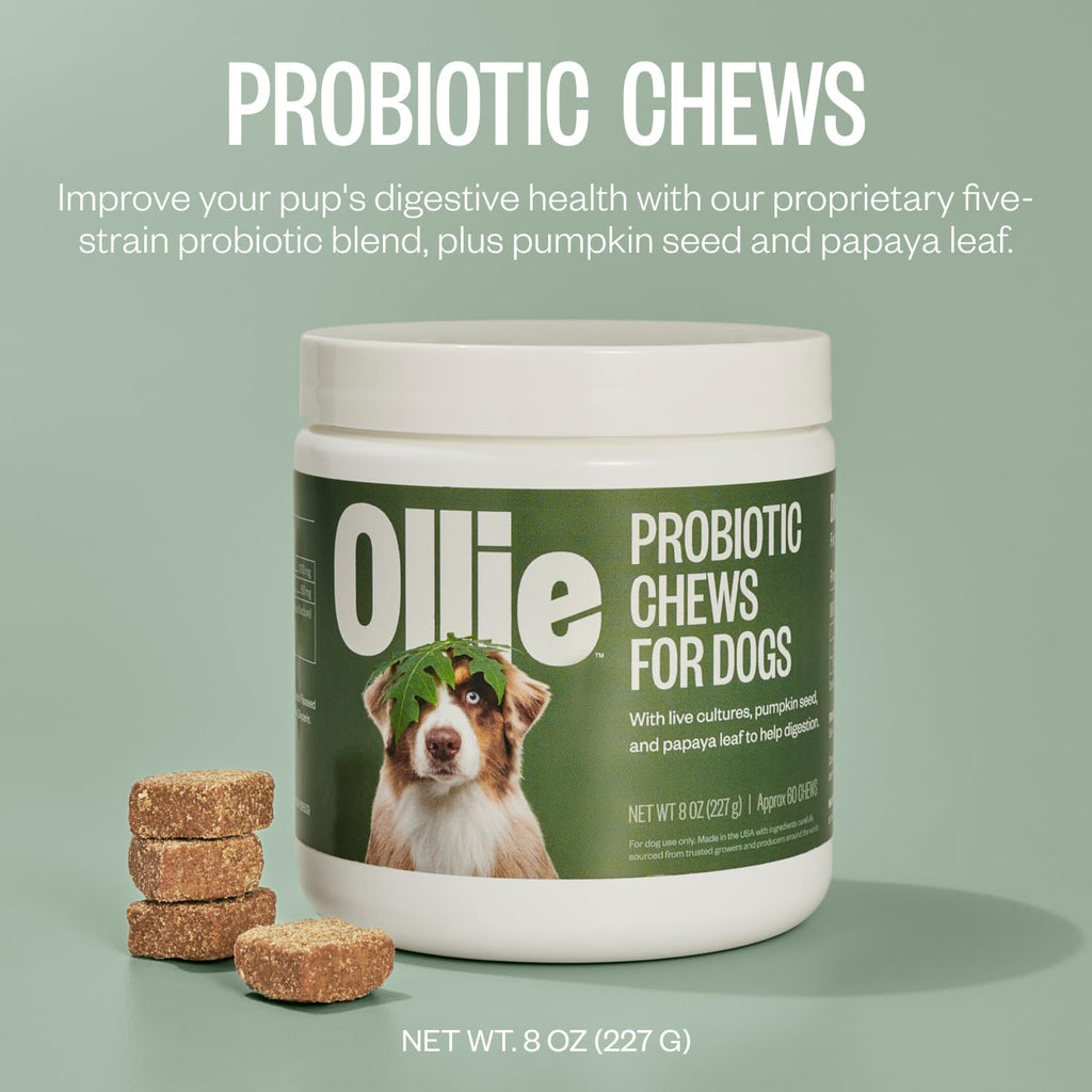Ollie Belly Rubs - Probióticos para Perros - Salud Digestiva - Aprox. 60 Masticables