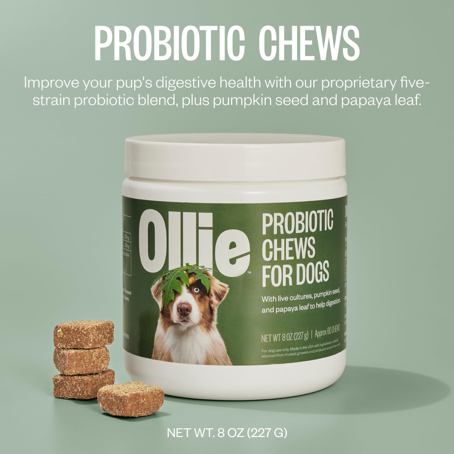 Ollie Belly Rubs - Probióticos para Perros - Salud Digestiva - Aprox. 60 Masticables