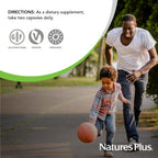 NaturesPlus Source of Life Garden Vitamin C – 60 Capsules – Organic Amla Vitamin C with Bioflavonoids