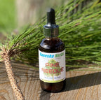 Ganesha Herbs Tintura Líquida de Agujas de Pino – 60 ml