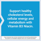 Life Extension Vitamina B3 Niacin, 100 Capsules
