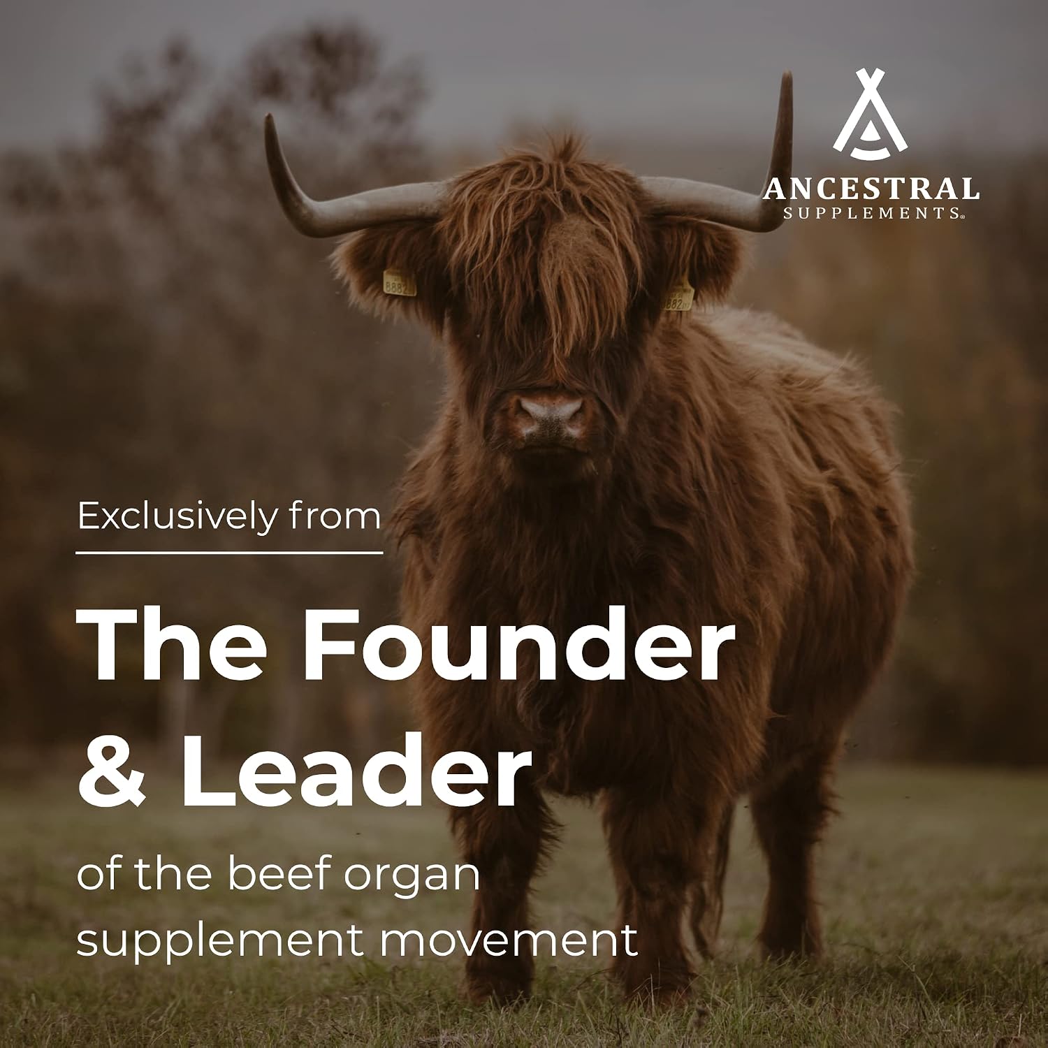 Ancestral Supplements Suplemento de Cerebro e Hígado de Vaca Alimentada con Pasto, 180 Cápsulas