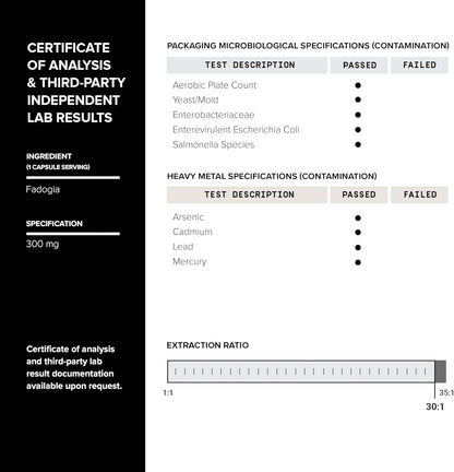 Tongkat Ali Fadogia Agrestis - Ultra High Potency 200:1 Tongkat Ali & 30:1 Fadogia Agrestis - 2% Eurycomanone - Third-Party – Image 5