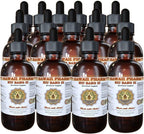 Liquid Extract of NIU Bang Zi (Burdock) - Arctium Lappa Seed - Herbal Supplement - 4 fl oz (118 ml)