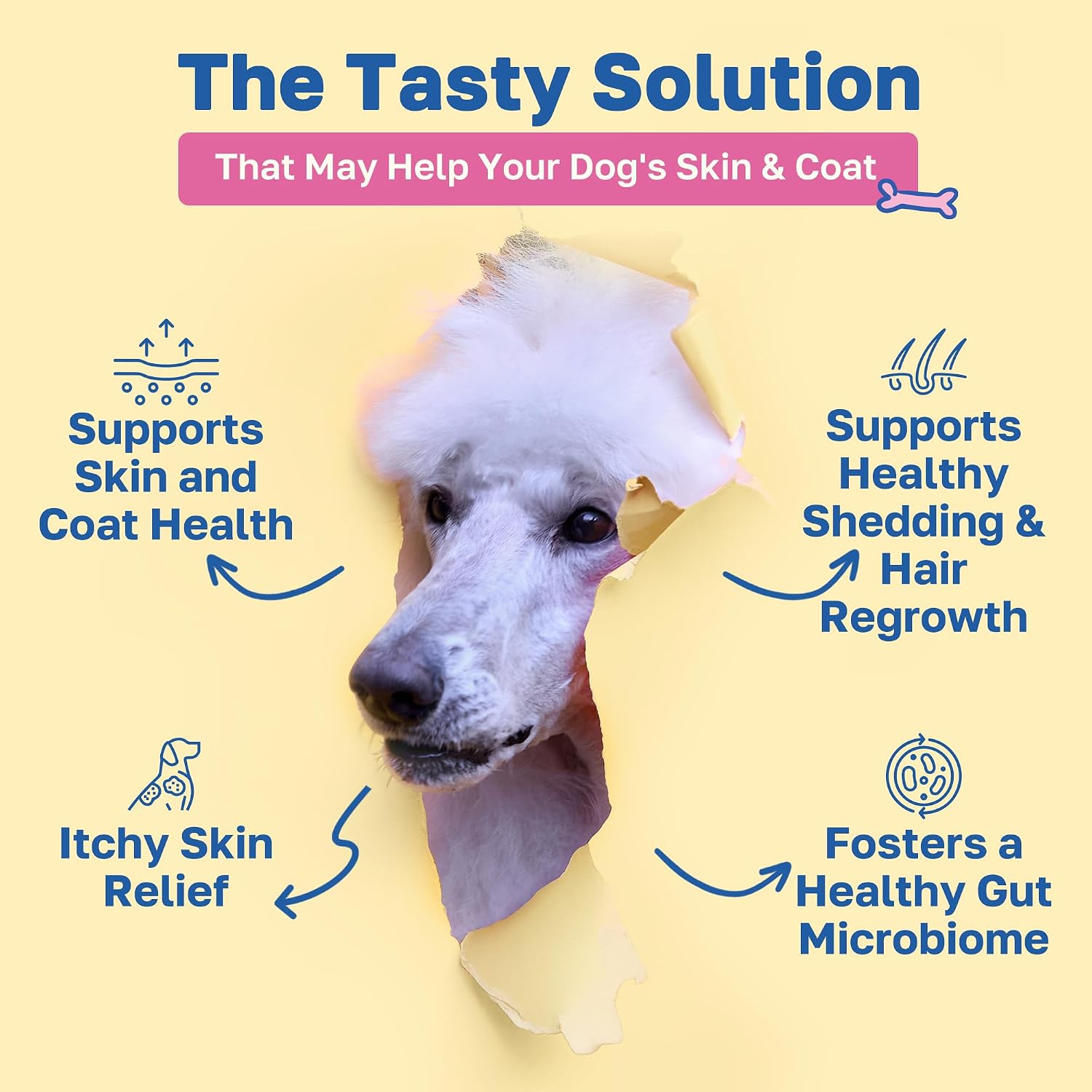 Happy Paws Suplemento para la Piel y el Pelaje de Perros, Apoyo contra Picores y Alergias, Cuidado Diario de Piel Seca y Control de Muda con Aceite de Coco y Vitamina B12, Sabor a Pollo Vegano, 200 Chews