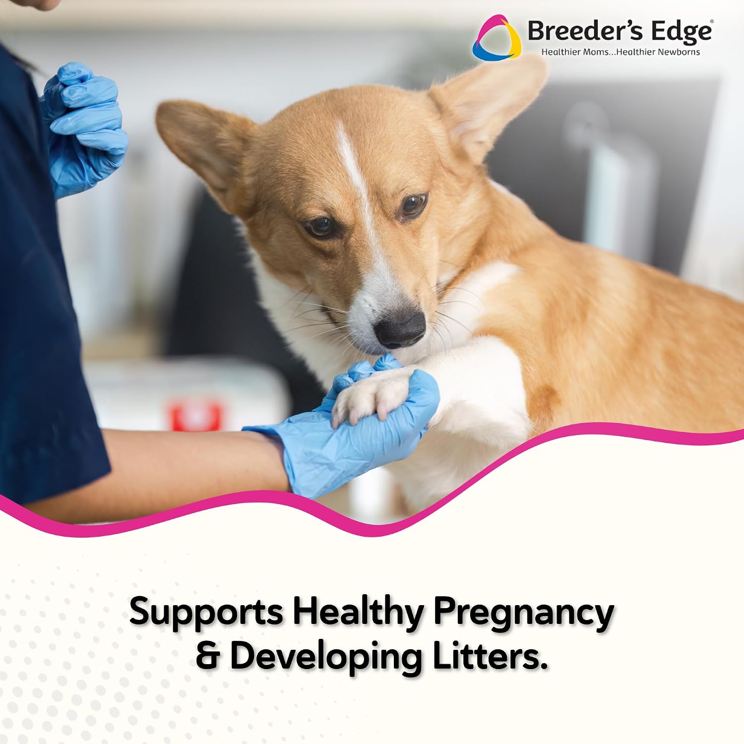Breeder’s Edge Problem Female - Suplemento hormonal para perras y gatas, 454g