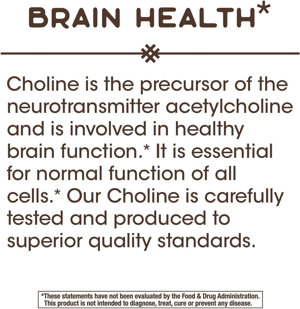 Nature's Way Choline, 500 mg per Serving, 100 Tablets (2-Pack)