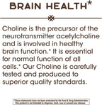 Nature's Way Choline, 500 mg per Serving, 100 Tablets (2-Pack)