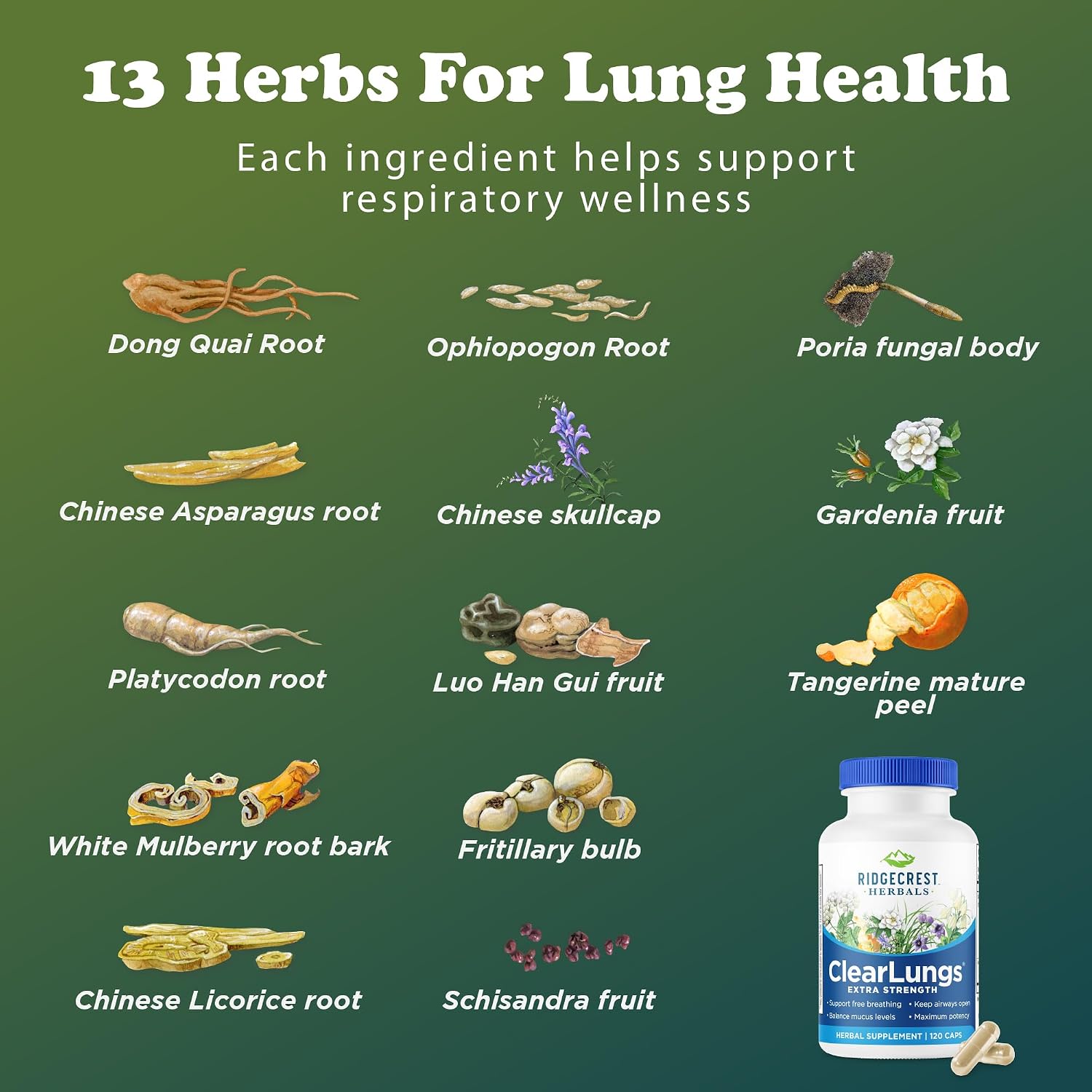 RidgeCrest Herbals ClearLungs Extra Strength - Complemento para el bienestar pulmonar y nasal - 120 cápsulas veganas (60 dosis)