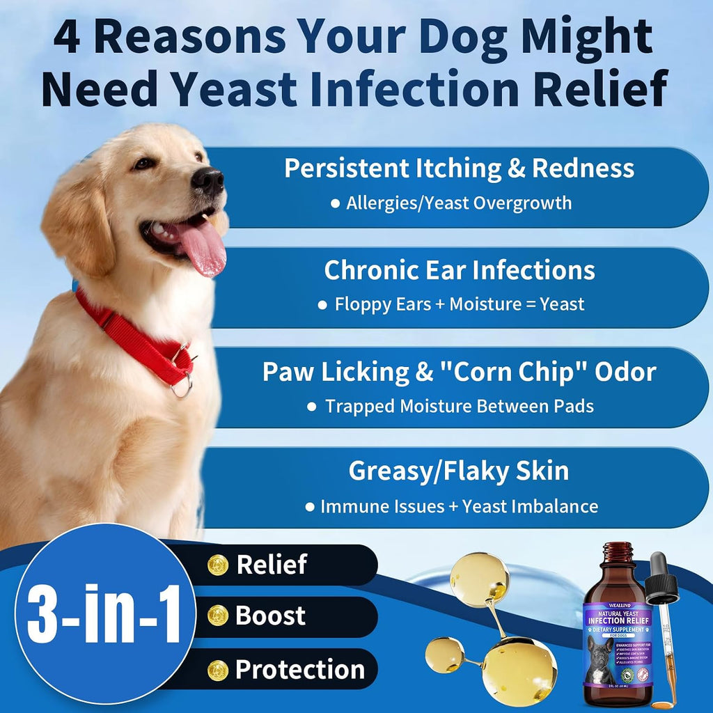 Tratamiento Natural contra Levaduras para Perros | Gotas con Probióticos y Mezcla de 8 Hierbas | Apoya Piel, Oídos y Alivio de Alergias | Sabor a Bacon