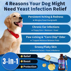 Tratamiento Natural contra Levaduras para Perros | Gotas con Probióticos y Mezcla de 8 Hierbas | Apoya Piel, Oídos y Alivio de Alergias | Sabor a Bacon
