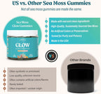 Akasha Superfoods Sea Moss Gummies con Irish Sea Moss, Perla en Polvo, Vitamina E, Aloe Vera y Vitamina C Liposomal, 60 Gominolas