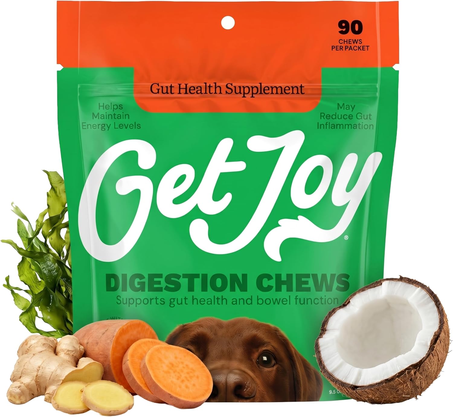 Get Joy Digestion Chews - Suplemento digestivo para perros con prebióticos, probióticos y posbióticos, 90 masticables