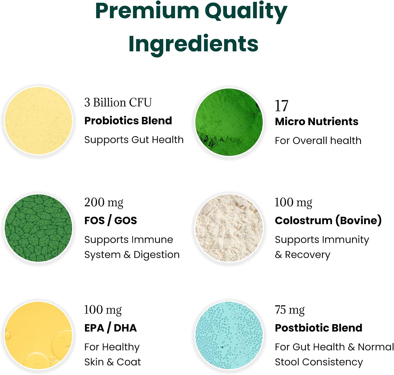 Paw Balance Probióticos y Multivitamínicos para Perros - 60 Masticables con Omega 3 y Calostro