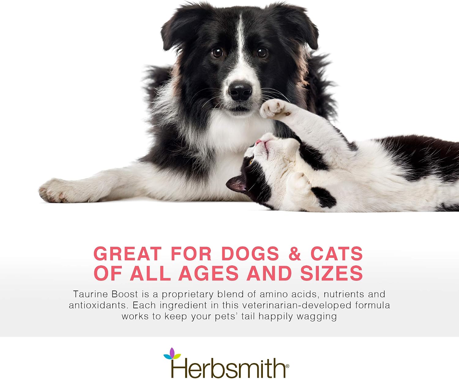 Herbsmith Taurine Boost – Suplemento cardíaco para perros y gatos (75g)