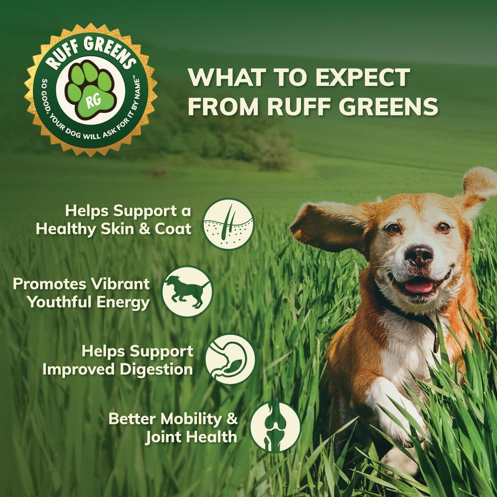 Ruff Greens VitaSmart - Complemento en polvo para perros con 25 vitaminas y minerales, 15 probióticos y 20 enzimas digestivas - 6.9 oz
