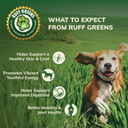 Ruff Greens VitaSmart - Complemento en polvo para perros con 25 vitaminas y minerales, 15 probióticos y 20 enzimas digestivas - 6.9 oz