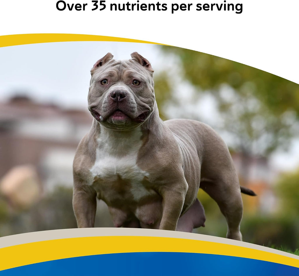 Doc Roy's Daily Care Extra Canine - Multivitamínico Completo para Perros, 365 Comprimidos